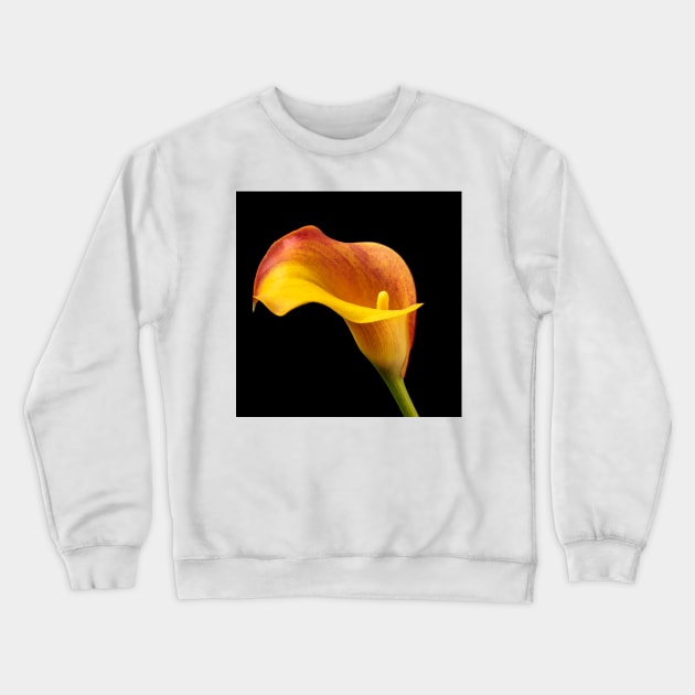 Single Red And Yellow Calla Lily Crewneck Sweatshirt by photogarry